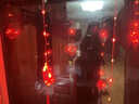 嘉德朗新年装饰彩灯氛围灯带红灯笼串灯led福字灯串春节过年阳台窗帘灯 3米110灯 8种闪灯+可串联尾插 实拍图