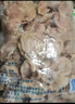 华都食品单冻鸡胗 2斤/袋 冷冻 出口级 烧烤鸡胗鸡肫卤味卤煮食材 实拍图