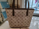 纽芝兰（NUCELLE）沈月同款飞马托特包2025单肩手提大容量上班通勤女包生日圣诞礼物 实拍图