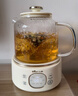 小熊（Bear）养生壶 煮茶壶 恒温水壶 保温烧水一体智能电热水壶花茶壶烧水壶 11档保温 1.5L大容量 YSH-J15Z7 实拍图