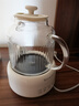 小质养生壶1.5L全玻璃花茶壶0胶水0金属恒温煮茶器办公室热牛奶神器保温壶家用烧水壶电热水壶 实拍图