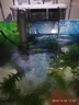 森森（SUNSUN）鱼缸过滤器壁挂式外置过滤泵水族箱过滤器HBL HBL-302 3W 实拍图