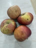 阿克苏苹果新疆阿克苏冰糖心苹果新鲜时令水果礼盒红富士丑苹果 10斤特级果70-90mm 净重8.5斤以上 实拍图