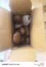 京喜加贵州修文绿心猕猴桃大果当季新鲜水果奇异果 带箱1斤30-50g（12枚） 实拍图