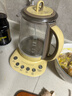 北鼎（Buydeem） 养生壶K118电水壶多功能养生壶迷你玻璃煮茶器 煮茶壶煎药壶花茶 【小鹅黄】养生壶K118|温泡功能 1.5L 实拍图