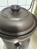 九阳（Joyoung）电炖锅电炖盅电砂锅炖汤盅煲汤锅多功能锅紫砂锅燕窝炖盅煮粥锅直炖4L大容量 可预约保温GD410 实拍图