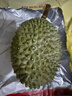 京鲜生马来西亚D197猫山王榴莲冷冻4-4.5斤保4房新鲜水果 实拍图