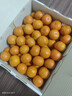 京鲜生 正宗广西砂糖橘净重4.5斤 单果35-55mm 精品果  源头直发包邮 实拍图