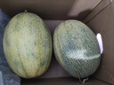 京鲜生 海南哈密瓜 西州蜜/西周蜜 2粒 5-7斤 单果2.5斤起 生鲜水果礼盒 实拍图