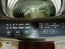 海尔（Haier）全自动波轮洗衣机8KG小型 家用宿舍出租房 家电国家补贴以旧换新京东自营XQB80-Z10D0 实拍图