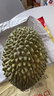 京鲜生马来西亚D197猫山王榴莲冷冻5.5-6斤保5房生鲜新鲜水果 实拍图