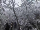 京冇u型枕午睡枕头颈椎枕记忆棉脖枕飞机护颈枕旅行办公室睡觉午休枕 实拍图