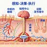 半山农 人参 吉林长白山生晒参7支70克 煲汤滋补品泡酒药材长辈年货礼盒 实拍图