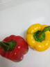 京地达山东彩椒红黄两色柿子椒 净重3斤 单果100g+起源头直发包邮 实拍图
