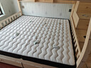 香榭柏兰 椰棕床垫棕垫硬棕榈床垫子 天然乳胶榻榻米床垫定做定制 12CM厚（防螨面料+7CM椰棕+2CM乳胶） 1.8米*1.9米 实拍图
