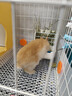 比克熊兔子草架食盆二合一兔笼可固定防翻米色外置饭盆碗用品 实拍图