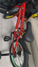 凤凰（Phoenix）儿童自行车3-6-10-13岁女孩小恐龙红色16寸 适合身高105-120cm 实拍图