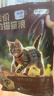 京东京造 幼猫全价猫粮4.5kg(1.5kg*3) 乳清蛋白羊奶免疫护肠胃 实拍图