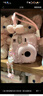 INSTAX富士instax立拍立得 一次成像相机 mini12精美礼盒 海岛绣球 含10张fafa花边相纸 实拍图