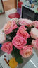 京东鲜花双11云南昆明基地随机色玫瑰买20枝送10枝配草配草鲜花源头直发 实拍图