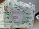 帮宝适（Pampers）清新帮尿不湿 XL84片【清新帮弹力裤】 实拍图