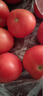 新鲜沙瓤大番茄生吃西红柿减肥早餐即食新鲜蔬菜生鲜单果＞100g 家庭装 4斤 带箱 实拍图