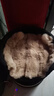 派乐特猫窝踩奶软垫猫垫睡觉用猫垫子狗窝宠物垫子狗垫猫咪垫毛毯S 实拍图