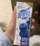 蒙牛真果粒混合果肉风味250g*12盒果汁饮料牛奶饮品整箱送礼 【12月】真果粒蓝莓味250ml*12盒 实拍图