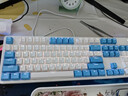 雷柏（Rapoo）V500PRO白蓝升级款 104键有线背光机械键盘 PBT双色键帽电脑办公游戏全键无冲可编程键盘 红轴 实拍图