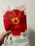 宜婴【源头直发】头等舱白金 帝王花精华拉拉裤试用便携装M4片 实拍图