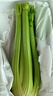京鲜生山东新鲜大西芹净重4.5斤榨汁现挖芹菜鲜嫩蔬菜 去半叶源头直发 实拍图