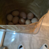 京鲜生富硒鲜鸡蛋30枚 3斤 源头直发 实拍图