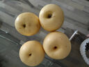 【产地直采】河北老树皇冠梨4粒 约1.2kg 实拍图