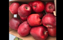京鲜生 甘肃天水花牛苹果 又大又红 净重10斤 单果240g以上 新鲜水果  实拍图