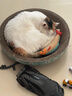 疯狂的主人猫抓板窝碗形大号猫抓盆不掉屑猫窝宠物猫玩具瓦楞纸猫爪板 实拍图