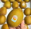 佳沛（zespri）新西兰 新果季 阳光金奇异果30-33粒原箱单果重约101-124g 猕猴桃 实拍图