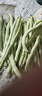 京鲜生山东新鲜白芸豆净重1.8斤装白不老新鲜蔬菜源头直发包邮 实拍图