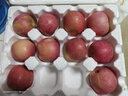 甜醉了 烟台苹果栖霞红富士新鲜水果生鲜山东特产脆甜整箱平果礼盒礼品 红富士净重4.5斤75-80mm 实拍图