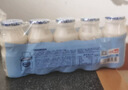 味动力乳酸菌饮料原味100ml*20儿童早餐奶酸奶小瓶牛奶0添加乳酸菌饮料 实拍图
