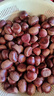 丹东板栗新鲜当季东北特产野生锥栗大果甜糯毛栗子现摘整箱包邮 单果22mm+ 5斤 实拍图