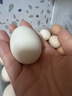 京鲜生可生食标准鲜鸡蛋30枚礼盒装3斤 源头直发 实拍图