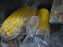 北纬47度黄糯小玉米1.8斤(150g*6) 东北黄糯玉米段儿童玉米真空包装低脂  实拍图