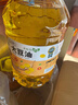 金掌门食用油 非转基因 大豆油6.2L*2桶 精炼一级 实拍图