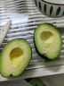 鲜青录秘鲁进口牛油果鳄梨奶油酷热带新鲜宝宝孕妇水果 净重400g【4个中果 单果100-140g 实拍图