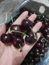 攸竹智利空运进口车厘子樱桃 美早大樱桃 车厘子巨无霸樱桃水果礼盒 1000g(净重) 礼盒装 4J级 智利车厘子 精美礼盒 全程保鲜 实拍图