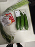 【水果菜】荷兰水果黄瓜约400g 实拍图