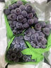 顺丰东北辽宁巨峰葡萄5斤新鲜水果无籽香甜黑提子当季现摘整箱发L 净重2斤装【顺丰快递】 实拍图