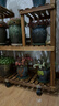 华观家居（Home Giving Furniture）可移动手推花架实木多层落地式花盆架子木质盆景阳台客厅室内多肉 加强款碳色大号带轮 实拍图