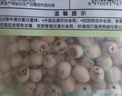 十月稻田 莲子 250g 半斤 湘潭产去芯磨皮白莲子 桂圆百合银耳羹煲汤食材  实拍图