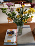 【七彩小雏菊】鲜切花混搭混色多头鲜花插瓶水养花期长七夕礼物 随机混色小雏菊50CM5枝 实拍图